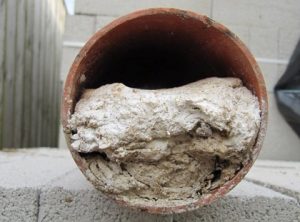 Прочитска труб